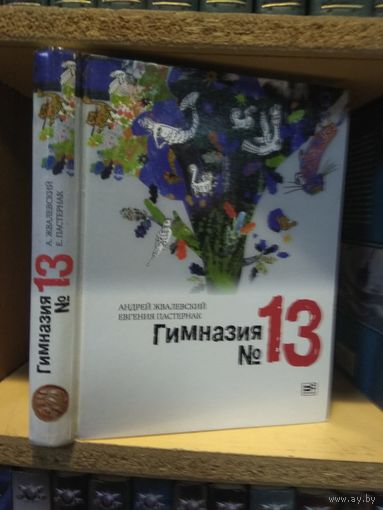 Жвалевский Андрей, Пастернак Евгения "Гимназия номер 13".