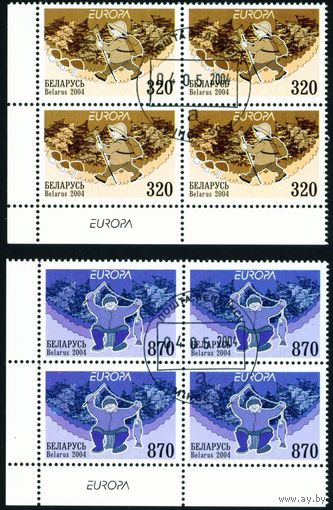 Туризм и отдых Беларусь 2004 год (567-568) серия из 2-х марок в квартблоках