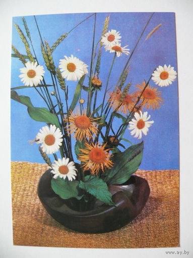 Фотокомпозиция Кремневой М., Ромашки, 1985, чистая.