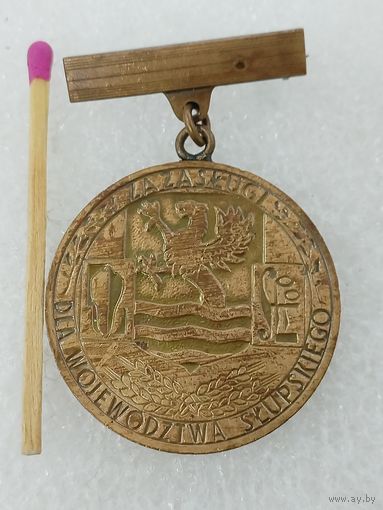 Знак ПНР. За заслуги перед Слупским воеводством. тяжёлый