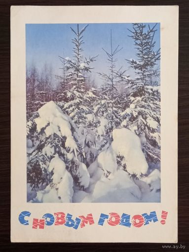 Костенко С Новым годом 1966 г. Открытка СССР
