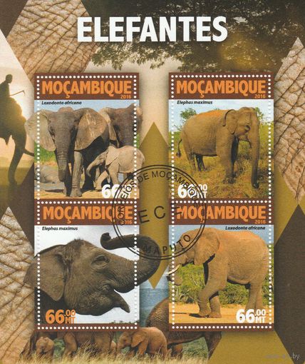 Мозамбик ,,Слоны,, 2016г