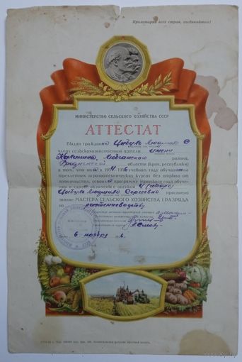 Аттестат. 2 шт.