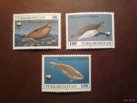 Туркменистан 1993 г.WWF - Защита природы-Каспийская нерпа./п/