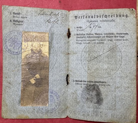 Паспорт.1916г.