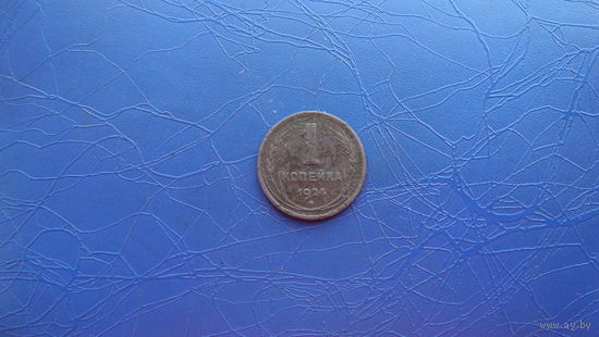 1 копейка  1924                                                                                 (3380)