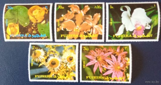 Фуджейра. Цветы.