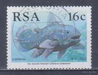 [1337] ЮАР 1989. Фауна.Рыбы. Гашеная марка.