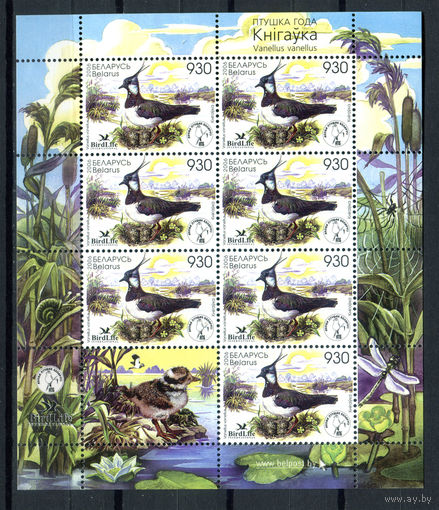 Беларусь - 2006г. - Птица года Беларуси - Чибис - полная серия, MNH [Mi 617] - 1 малый лист