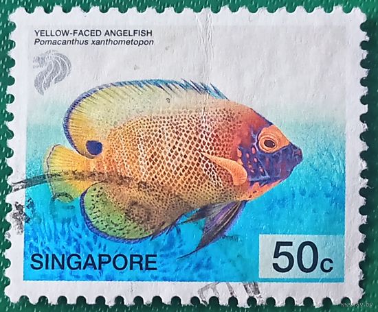 Сингапур 2001. Желтолицый ангел