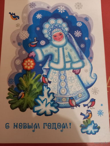 Комарова С Новым годом!
