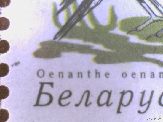 Стандарт 2006. 10. Ошибка печати (_496)