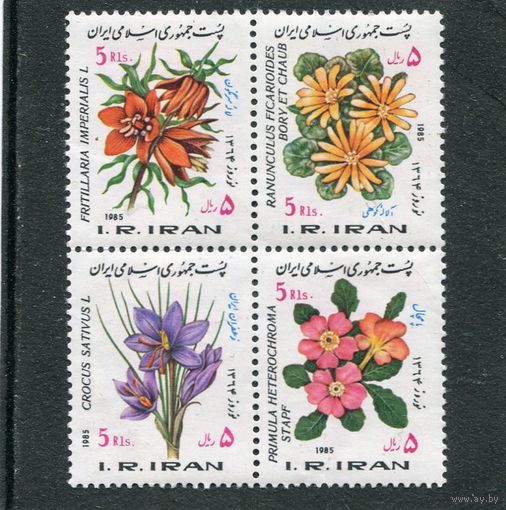 Иран. Флора. Цветы. Праздник прихода весны и Нового года