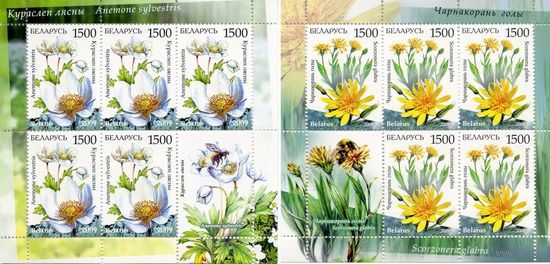 Беларусь 2009 Флора цветы 0786-0787 Серия малых листов**