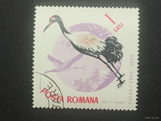 Румыния 1965. Птицы