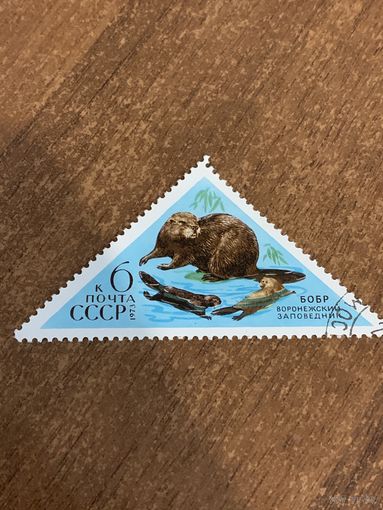СССР 1973. Бобр. Воронежский заповедник. Марка из серии