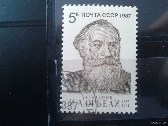 1987 Академик Орбели