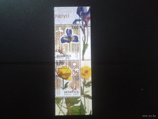 2003 Цветы, сцепка