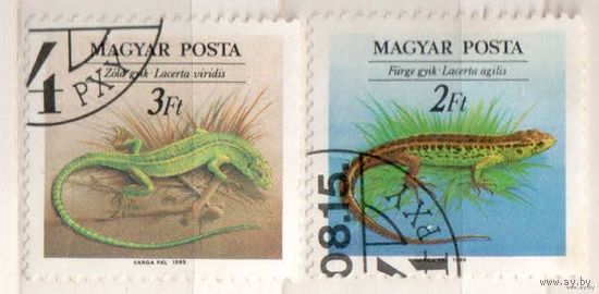Рептилии. 2 марки, 1983г.,гаш. Венгрия.