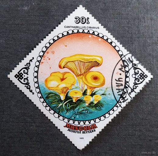 Марка Монголия 1985 год Грибы