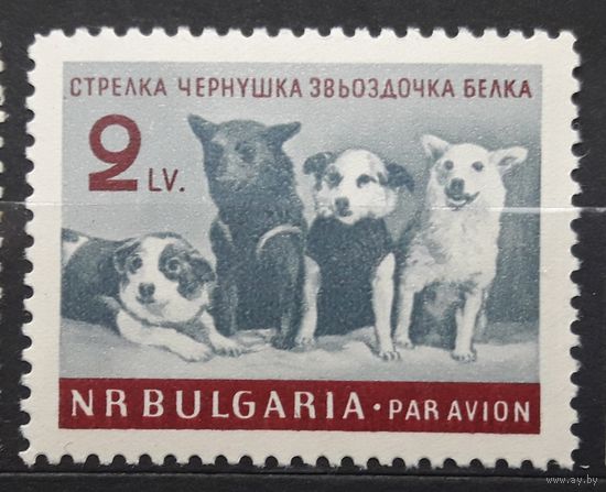Болгария 1961г. Космос.Серия из 1 марки: Собаки-космонавты.Mi: 1249.