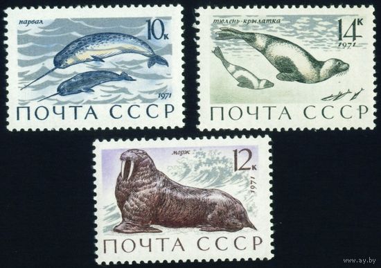 Морские млекопитающие Фауна СССР 1971 год 3 марки