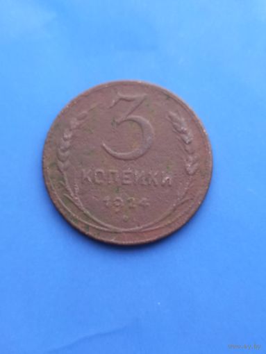 3 копейки 1924 год (172)