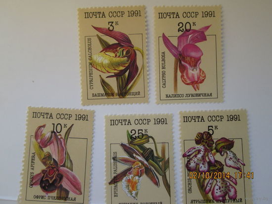 Цветы 1991 г