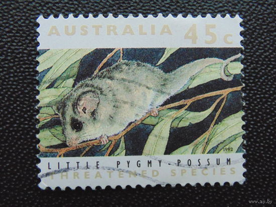 Австралия 1992 г. Фауна.