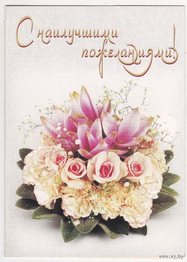Телеграмма 28