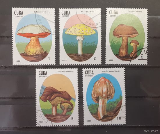Распродажа с 1 рубля! ФЛОРА. Куба. 1988 год. ГРИБЫ (5 марок)