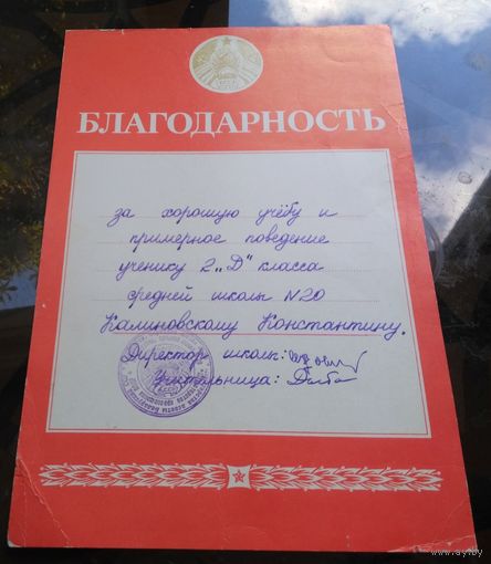Благодарность Бобруйск 20-я школа