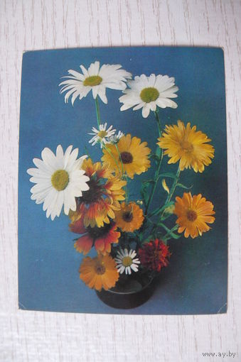 Савалов Е., Композиция из цветов, 1984, чистая, мини-формат (ромашки).