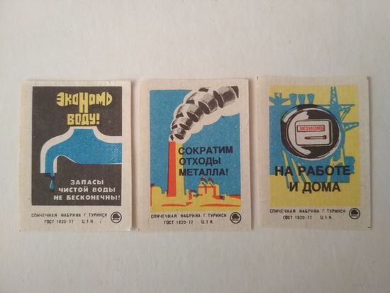 Спичечные этикетки ф.Туринск. Экономия 1981 год