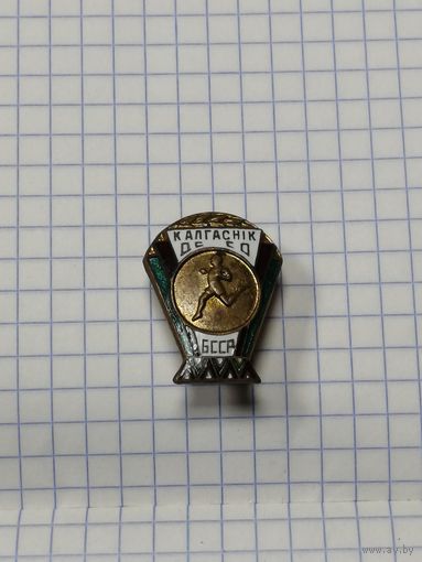 Знак Калгаснiк ДССО. БССР.