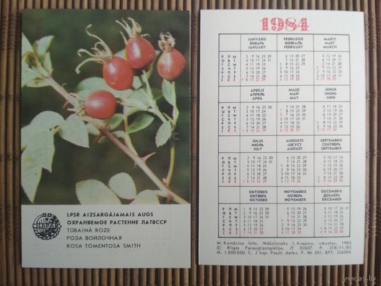 Карманный календарик.1984 год. Охраняемое растения ЛатвССР