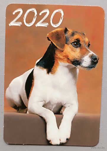 Собака. Календарик, 2020