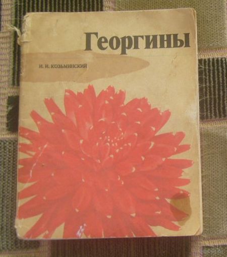Георгины.