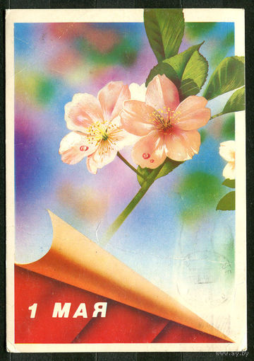 1 мая. Худ. В. Жомков. 1988