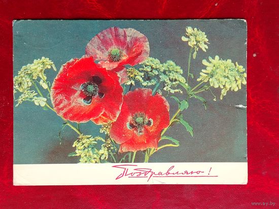 Поздравляю! Подписанная. 1969 года. Дергилев. 877.