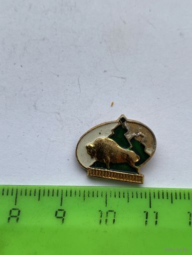 Значок Зубр