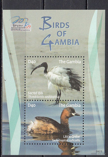 Фауна. Птицы. Гамбия. 2009. 1 блок. Michel N бл783 (6.0 е)