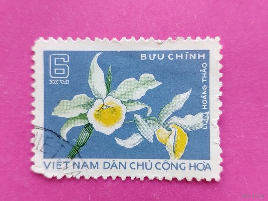 Вьетнам. Цветы. ( 1 марка ). 1-11.