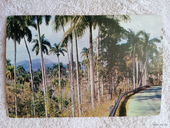 Куба. пейзаж вдоль шоссе