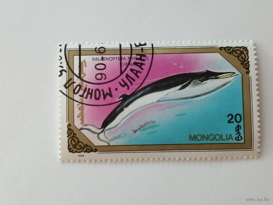 Монголия 1990. Киты.