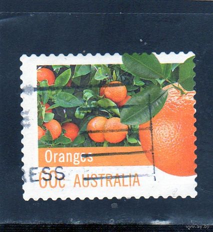 Австралия.Апельсины.