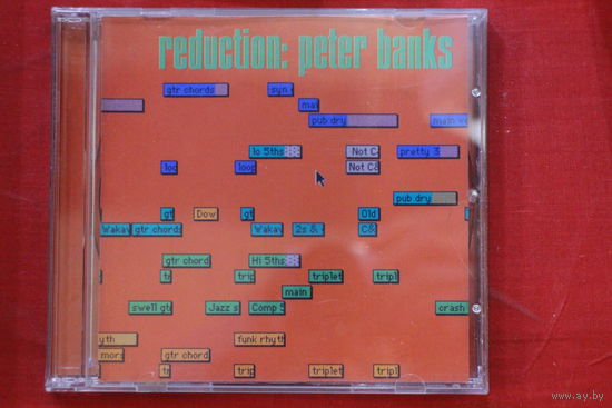 Peter Banks – Reduction: (2000, CD)