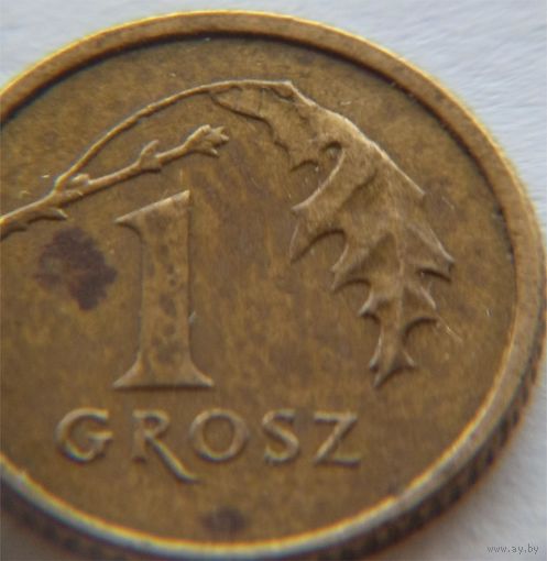1 грош Польша 2005 Брак выкрошка или скол на листики