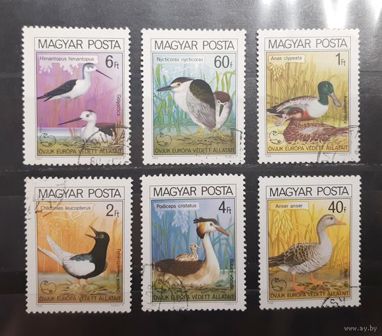 Венгрия. 1980 год. Фауна. Птицы (339)