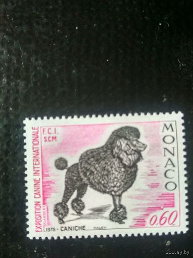 Монако. 1975. Международная выставка собак